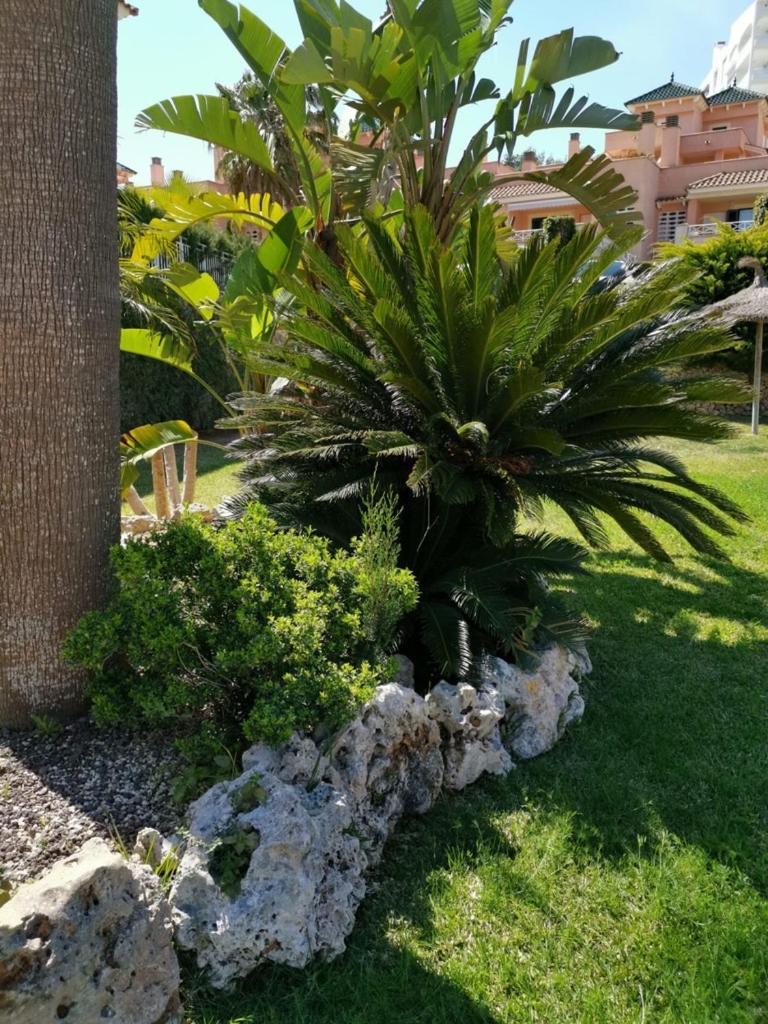 Traumhafte Familien-ferienwohnung Mit Dachterrasse & Pool Cales de Mallorca